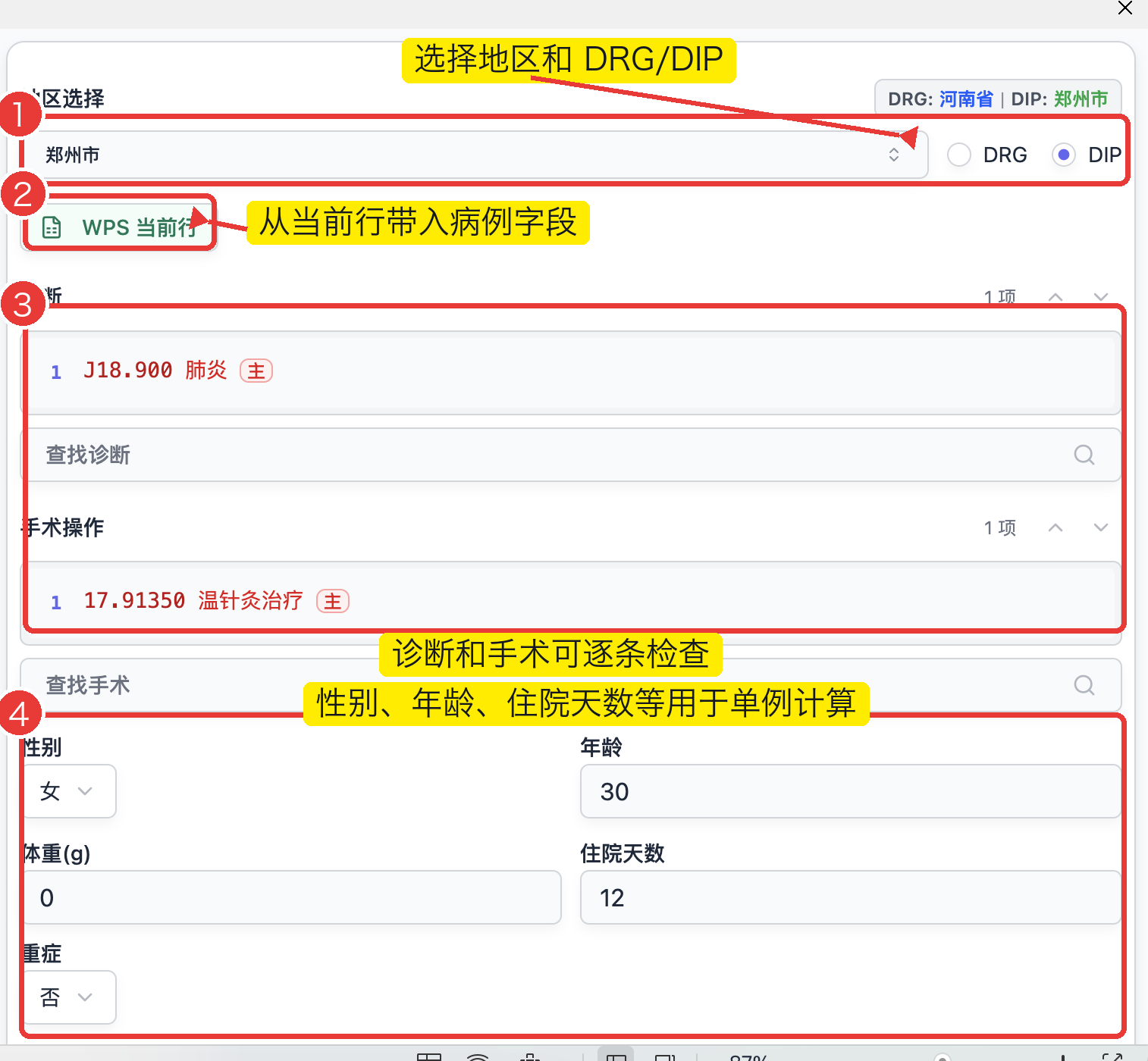WPS 单例分组侧栏，标出地区和 DRG/DIP 选择、WPS 当前行、诊断手术字段和基本信息
